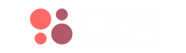 CEFI Learning Platform